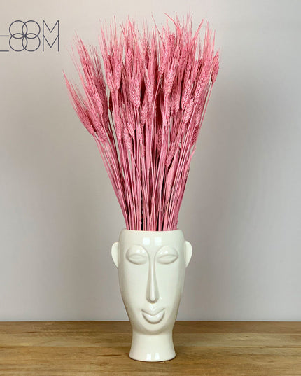 Everlasting Dried Pink