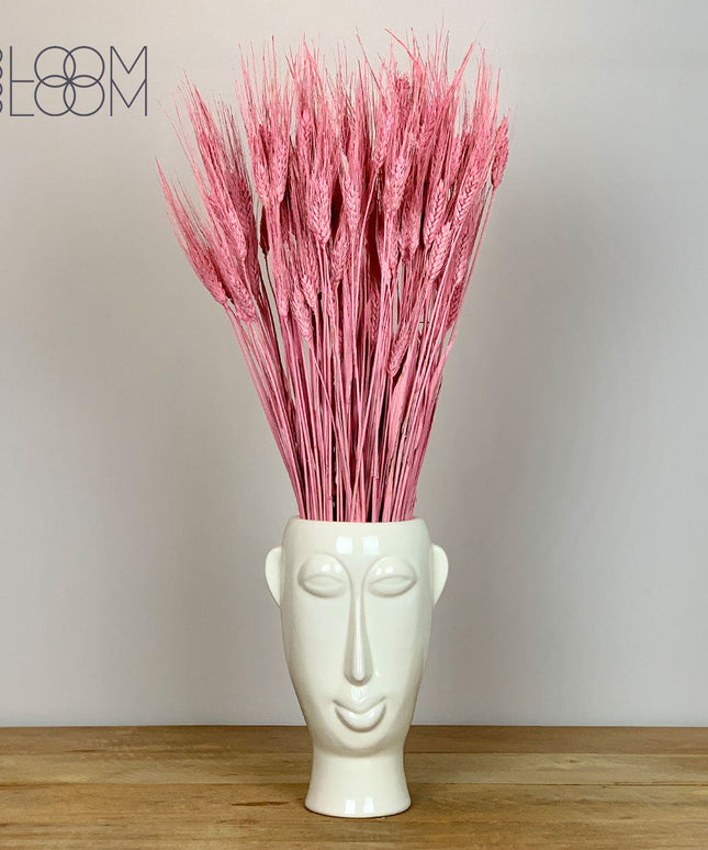 Everlasting Dried Pink