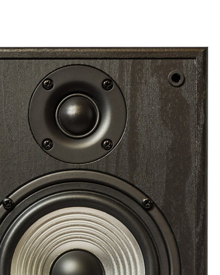 Modern walnut HiFi speaker