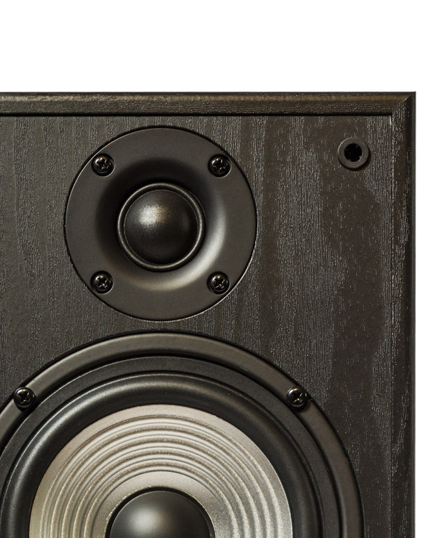 Modern walnut HiFi speaker