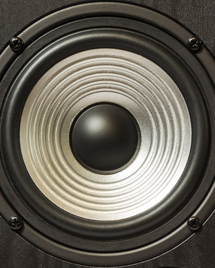 Modern walnut HiFi speaker