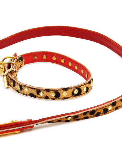 Cat leash panter print