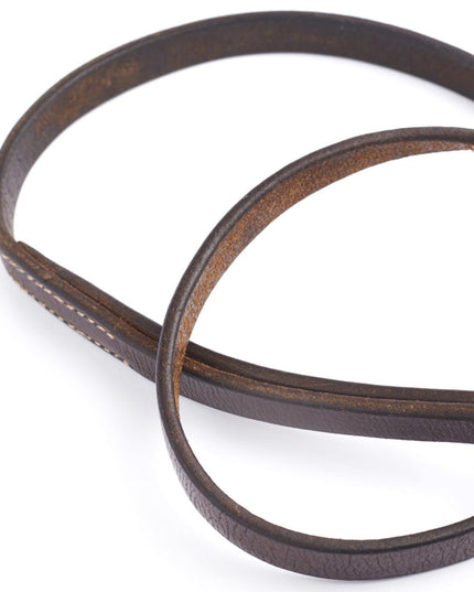 Brown leather dog leash