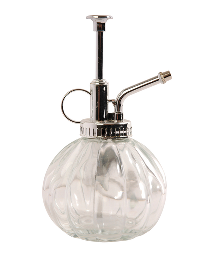 Plant mister clear glass - 0,25 litre