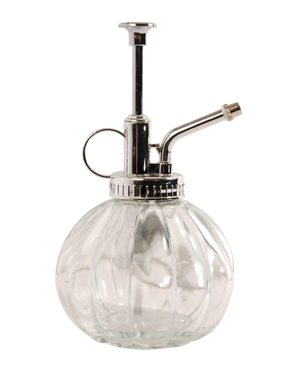 Plant mister clear glass - 0,25 litre