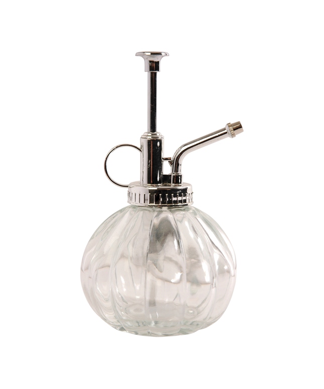 Plant mister clear glass - 0,25 litre