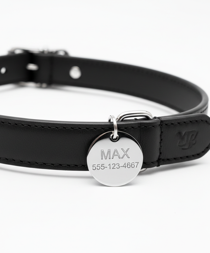 Premium black leather collar with personalized name tag