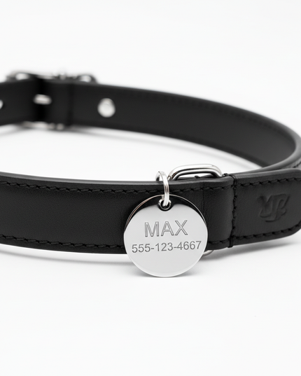 Premium black leather collar with personalized name tag