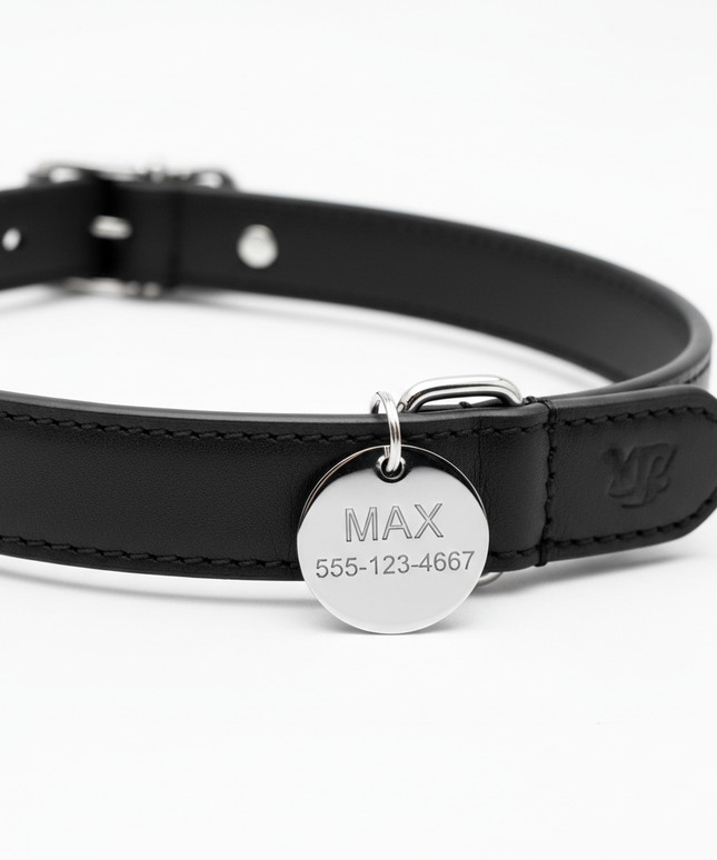 Premium black leather collar with personalized name tag