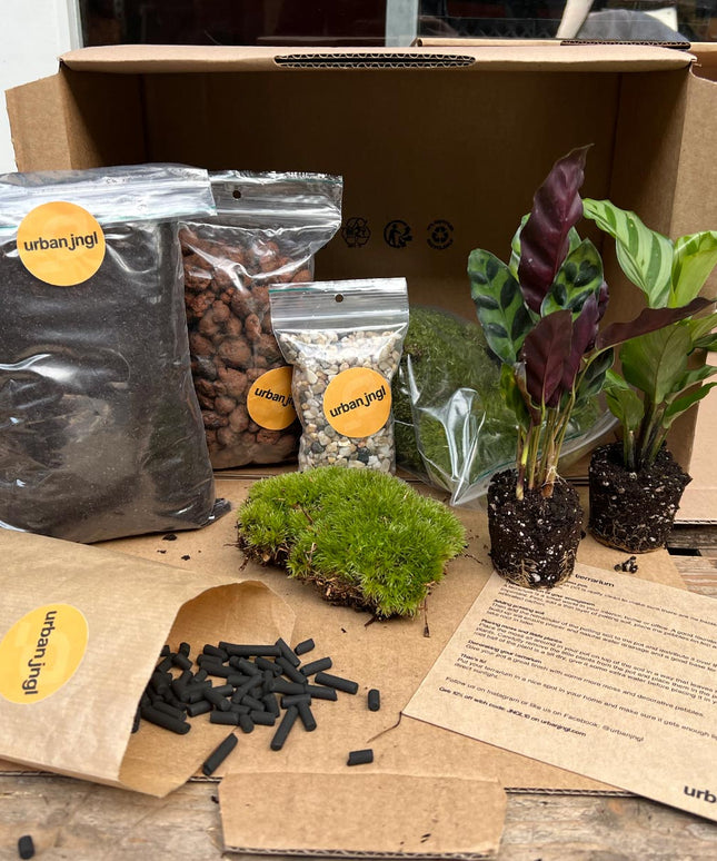 DIY terrarium refill kit with 2/3/4 plants