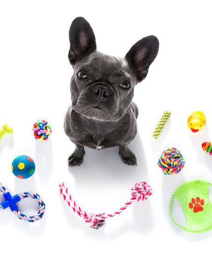 Dog toy