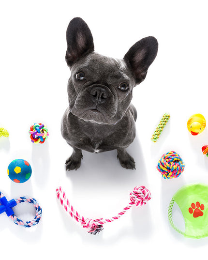 Bunch of Dog toys